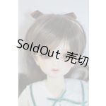 画像: SDM　コーディネートモデル　Fー45 U-23-12-27-212-TN-ZU