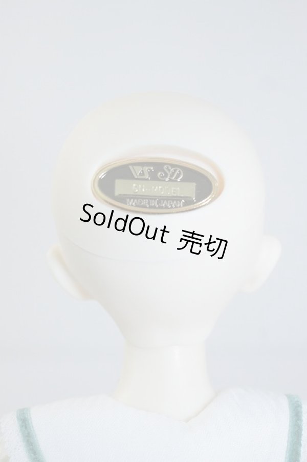 画像4: SDM　コーディネートモデル　Fー45 U-23-12-27-212-TN-ZU (4)