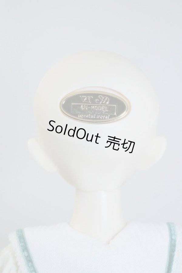 画像4: SDM コーディネートモデル　Fー42 U-23-12-27-211-TN-ZU (4)