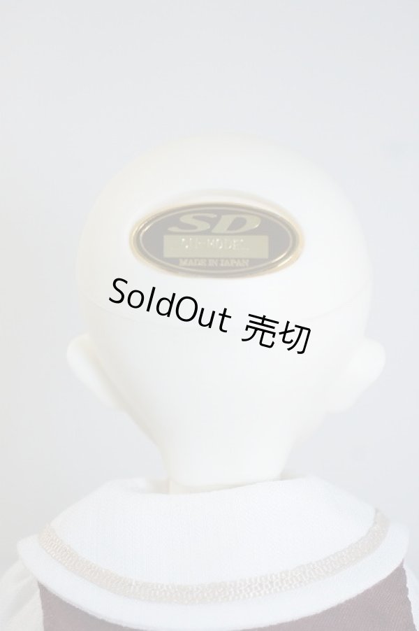 画像4: SDM　コーディネートモデル　Fー31 U-23-12-27-214-TN-ZU (4)