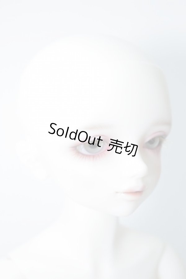 画像4: SDMBOY/エリック 星間学寮ver. U-24-01-10-210-TN-ZU (4)