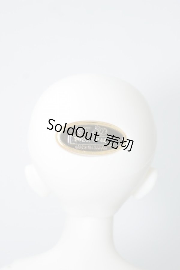 画像5: SDMBOY/エリック 星間学寮ver. U-24-01-10-210-TN-ZU (5)