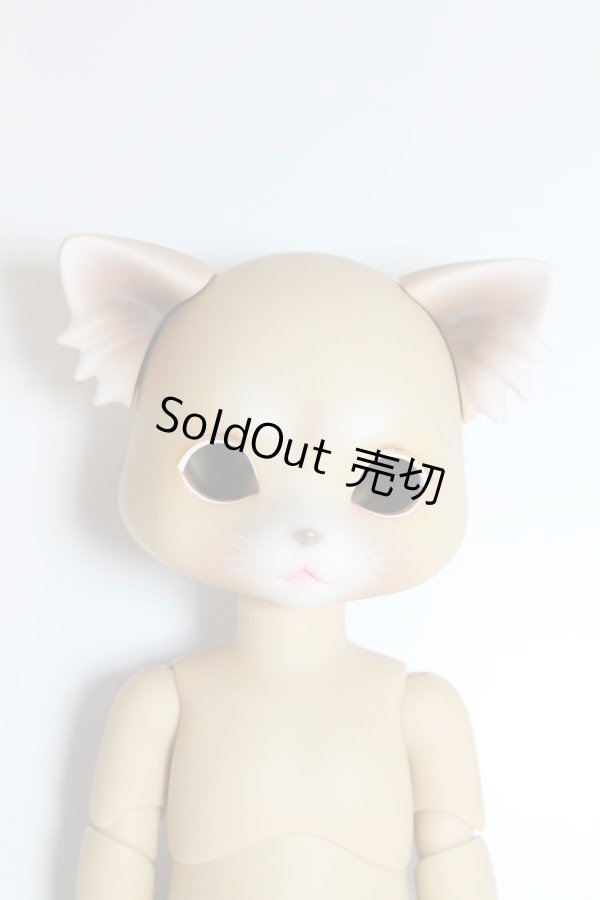 画像1: LUTS/ZUZUDELF:LURUS　ALADDIN LIMITED A-24-01-24-1085-TN-ZA (1)