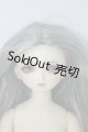 画像: MSD/幼midiシンディヘッド+MSDボディ U-24-01-31-209-TN-ZU