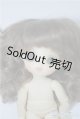 画像: brownie/NENE A-24-10-23-1132-TN-ZU