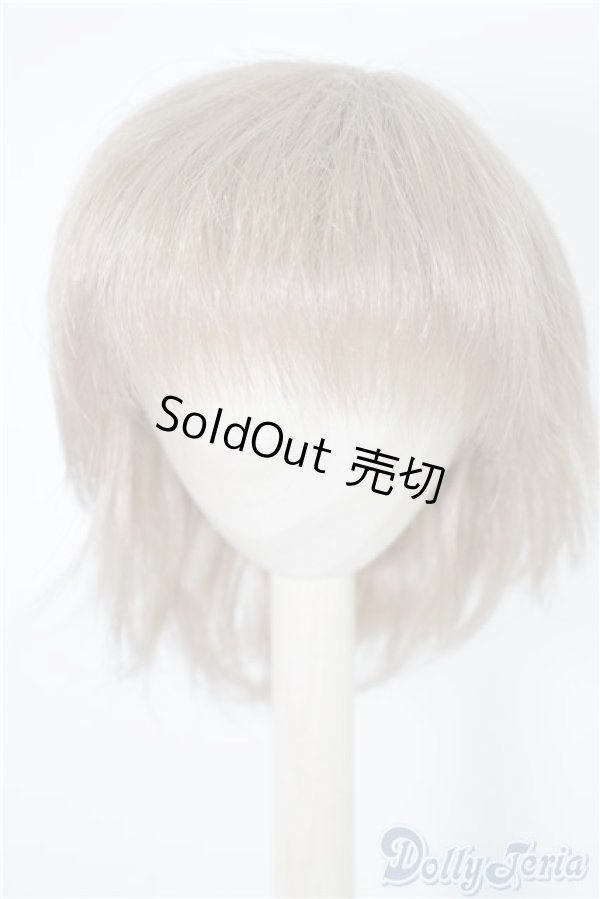 画像1: 9〜10inch/ウィッグ U-24-08-27-052-TN-ZU (1)