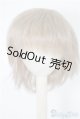 画像: 9〜10inch/ウィッグ U-24-08-27-052-TN-ZU