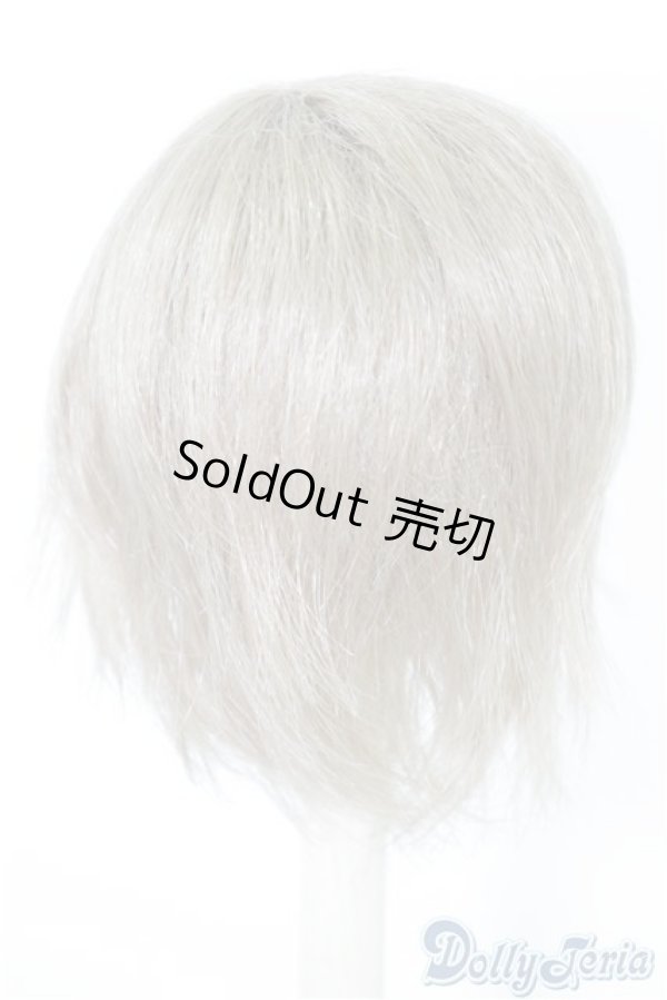 画像2: 9〜10inch/ウィッグ U-24-08-27-052-TN-ZU (2)