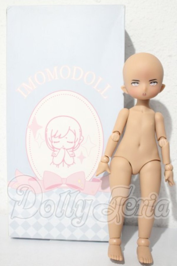 画像3: IMOMODOLL/Guruヘッド+1/6ボディセット A-26-05-27-1045-TN-ZU (3)