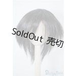 画像: 8〜9inch/ウィッグ U-24-08-27-042-TN-ZU