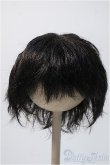 画像1: 9〜10inch/VOLKS製ウィッグ Y-25-02-19-215-KD-ZY (1)