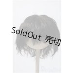 画像: 9〜10inch/VOLKS製ウィッグ Y-25-02-19-215-KD-ZY