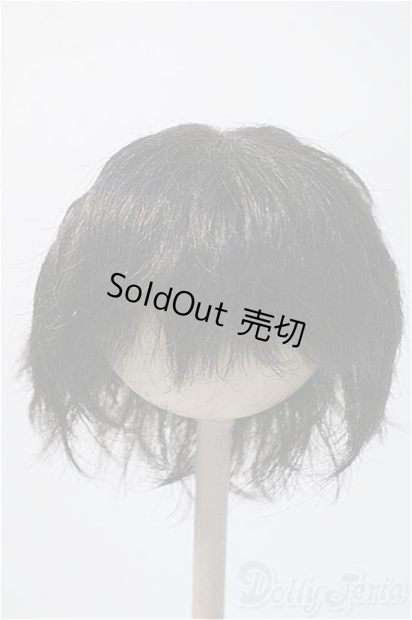 画像1: 9〜10inch/VOLKS製ウィッグ Y-25-02-19-215-KD-ZY (1)