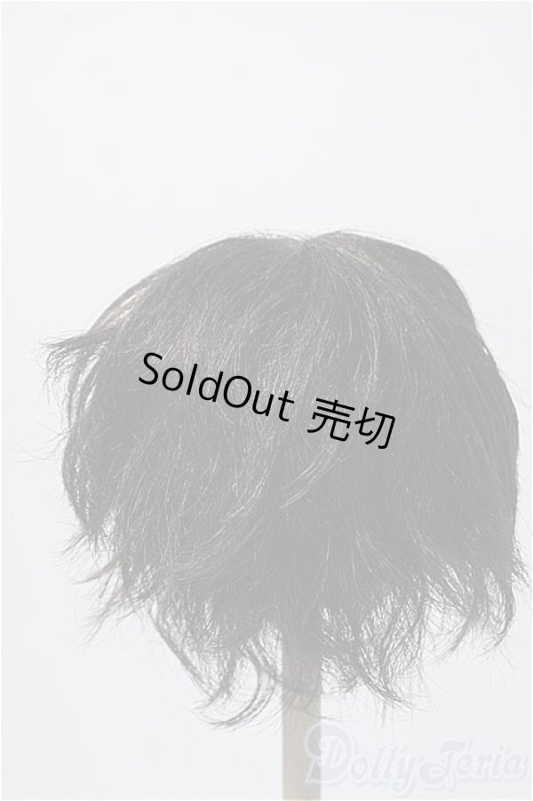 画像2: 9〜10inch/VOLKS製ウィッグ Y-25-02-19-215-KD-ZY (2)