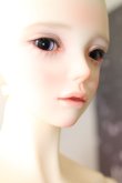 画像3: 【DOLK×SWITCH】Mori Artist Makeup - Pure imagination Limited - A-24-02-21-1138-TN-ZU (3)