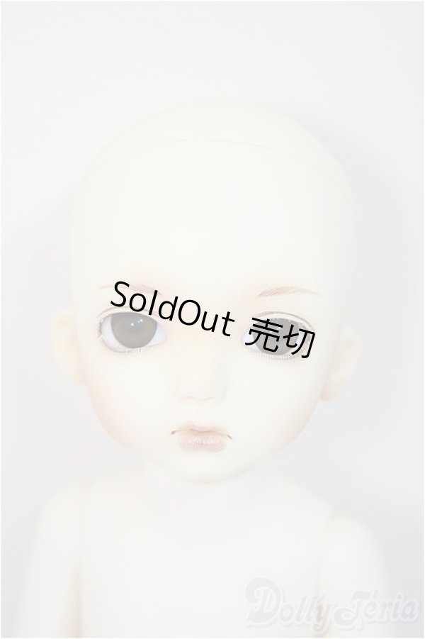 画像1: custumhouse/ange AI:basic uri/ A-25-07-23-237-TN-ZA (1)
