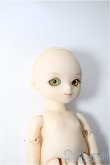 画像2: BF/ポケットフェアリー:charlie Y-24-12-18-342-TN-ZY (2)