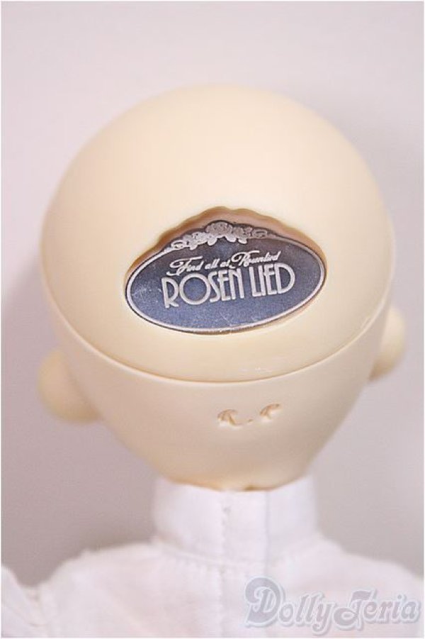 画像5: ROSENLIED/Tuesdays Child Basic Ravie/BJD　球体関節人形 A-25-07-23-277-TN-ZA (5)
