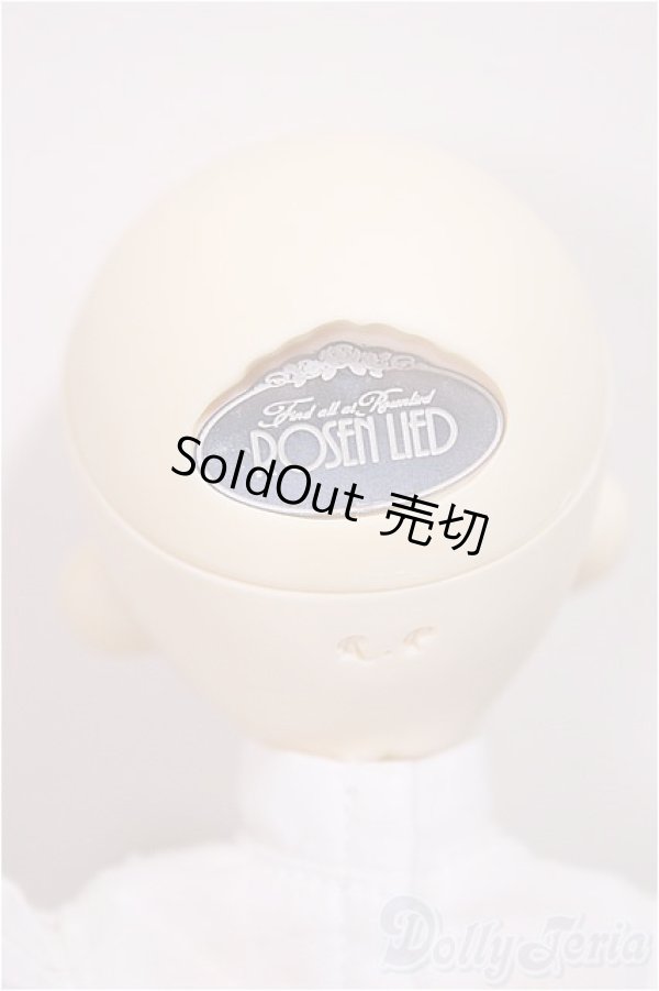 画像5: ROSENLIED/Tuesdays Child Basic Ravie/BJD　球体関節人形 A-25-07-23-277-TN-ZA (5)