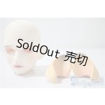 画像: ramcube/RaM+Plus DM.Camill head A-25-04-23-1024-KD-ZU