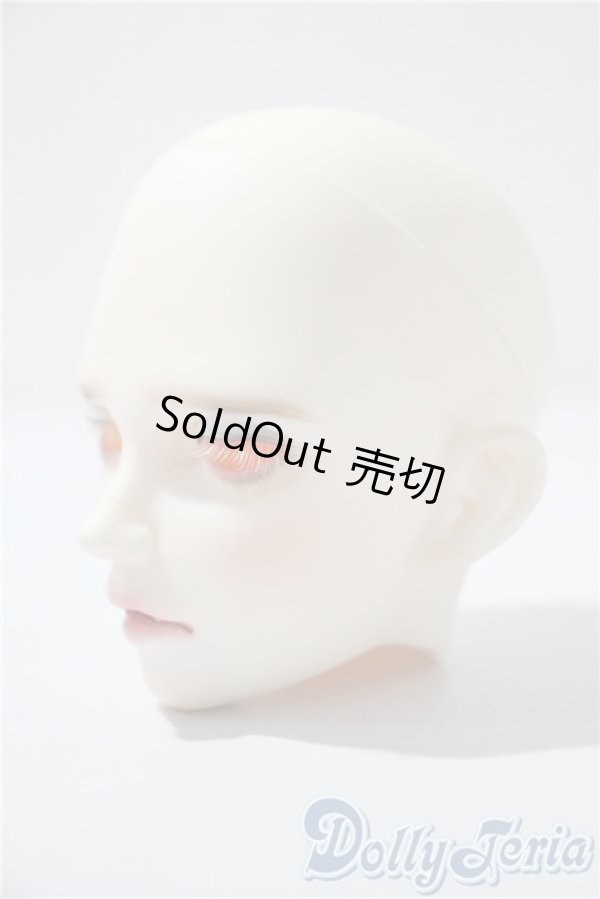 画像2: ramcube/RaM+Plus　DM.Camill head A-25-04-23-1024-KD-ZU (2)