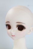 画像3: DDH-010カスタムヘッド/BJD　球体関節人形 A-25-03-12-401-TN-ZA (3)