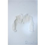 画像: MSD/OF：TOPS Y-25-05-28-241-TN-ZY