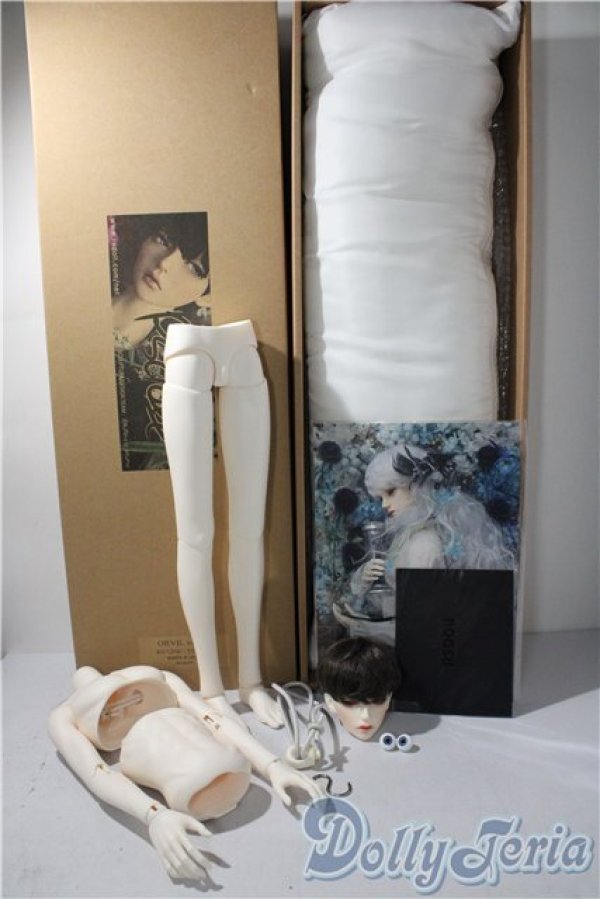 画像7: RSDOLL/RGLINE　ORVIL ver.ヘッド＆ボディR A-25-11-26-1098-TN-ZU (7)