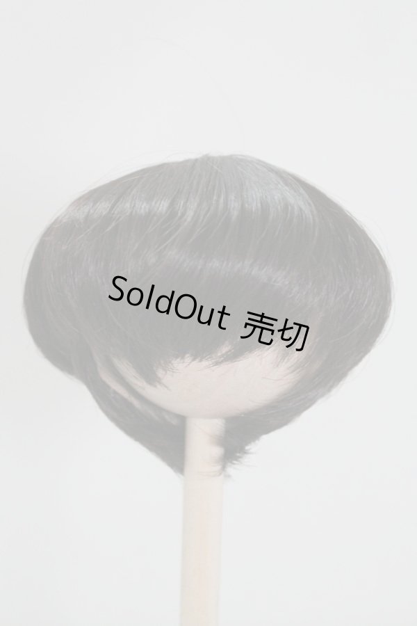 画像1: 8〜9inch/ウィッグ U-24-05-01-008-TN-ZU (1)