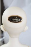 SDMGirl/SDM-F-38 コーディネイトモデル U-24-04-17-214-TN-ZU