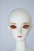 画像1: with doll/margery.the dnchess A-24-05-22-1150-TN-ZU (1)