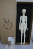 画像4: with doll/margery.the dnchess A-24-05-22-1150-TN-ZU (4)