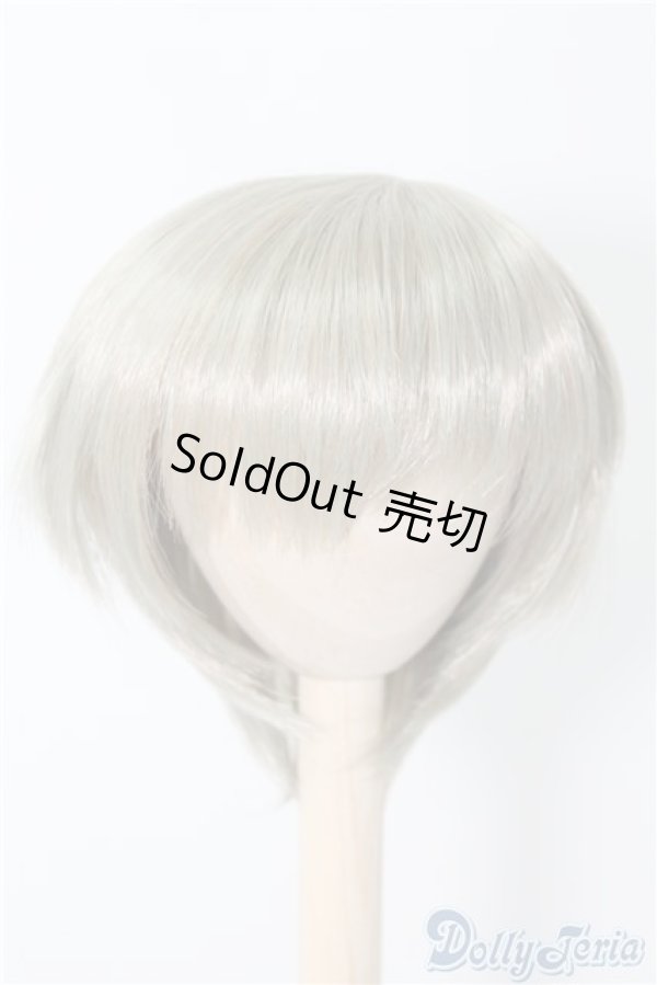 画像1: 9〜10inch/ウィッグ：ショート U-24-11-05-110-TN-ZU (1)