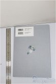 画像2: 書籍/Dollybird/ A-25-07-30-281-TN-ZA (2)