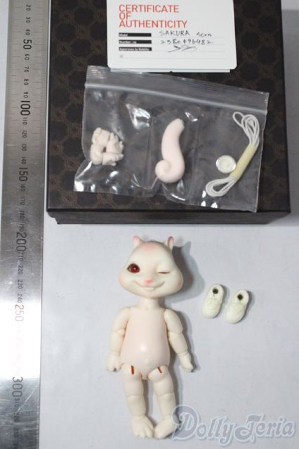 画像5: NOBILTYDOLL/sakura　SCON/ A-26-01-21-1081-TN-ZA (5)