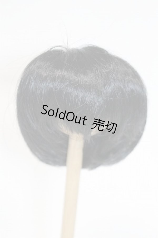 画像1: 【新品】6〜7inchウィッグ U-24-05-21-255-TN-ZU (1)