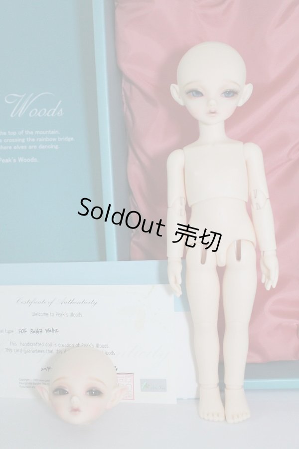 画像9: peakswoods/FOF：rabbit waltz A-24-05-29-1104-TN-ZU (9)