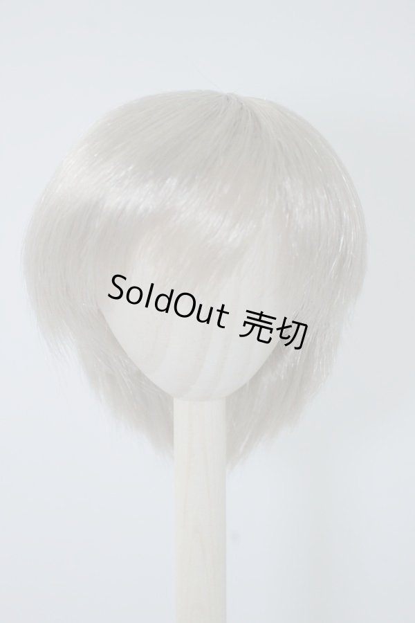 画像1: 9〜10inchウィッグ U-24-05-21-090-TN-ZU (1)