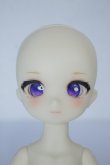 画像1: TinyFox/1/6 フルセット/BJD　球体関節人形 A-25-02-12-328-KD-ZA (1)