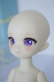 画像2: TinyFox/1/6 フルセット/BJD　球体関節人形 A-25-02-12-328-KD-ZA (2)
