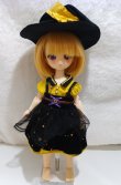 画像6: TinyFox/1/6 フルセット/BJD　球体関節人形 A-25-02-12-328-KD-ZA (6)