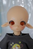 画像1: TinyFox/1/6 Fullset A-24-05-22-1146-KD-ZA (1)