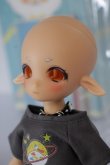 画像2: TinyFox/1/6 Fullset A-24-05-22-1146-KD-ZA (2)