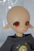 画像3: TinyFox/1/6 Fullset A-24-05-22-1146-KD-ZA (3)
