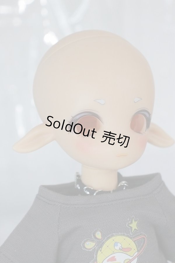 画像3: TinyFox/1/6 Fullset A-24-05-22-1146-KD-ZA (3)