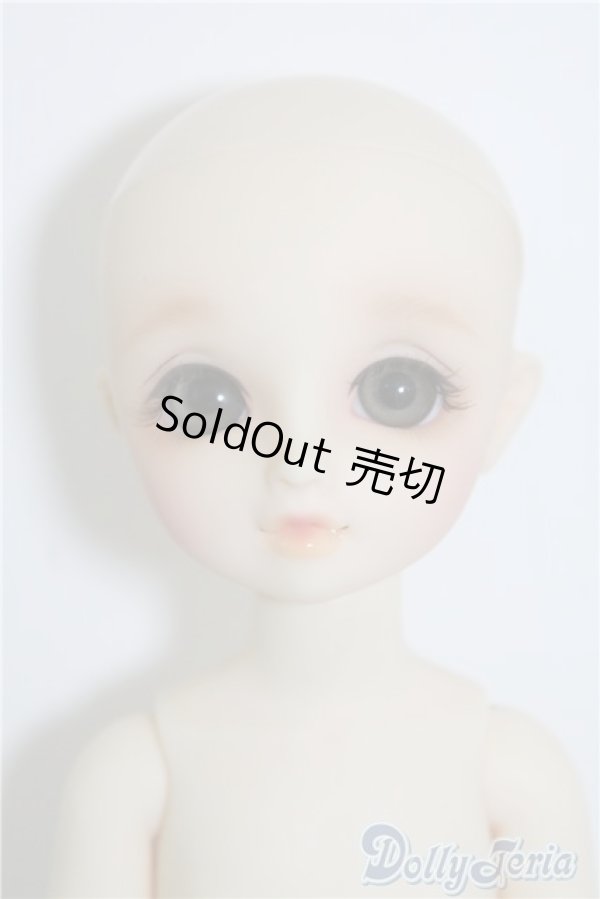 画像1: 幼天使/真霧 U-24-05-28-212-KD-ZU (1)