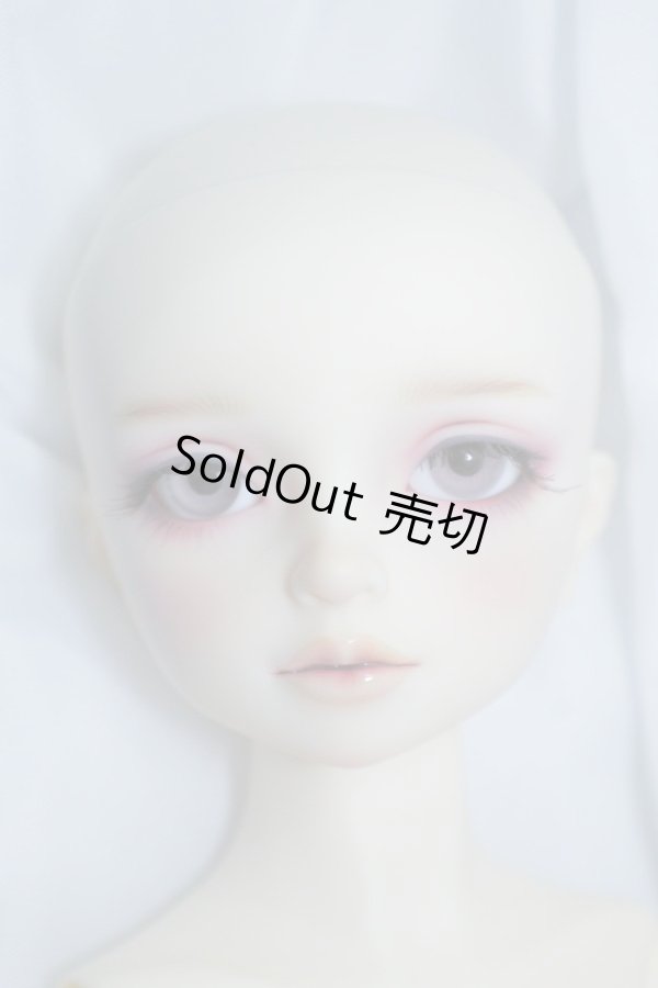 画像4: SDM/ギルバート 星間学寮ver. U-24-05-21-219-KD-ZU (4)