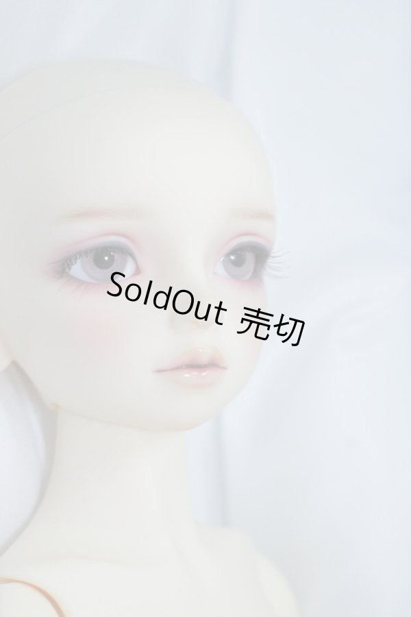 画像5: SDM/ギルバート 星間学寮ver. U-24-05-21-219-KD-ZU (5)