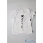 画像: SD&DD/OF:Tシャツ U-24-05-28-088-TN-ZU