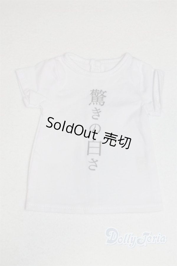 画像1: SD&DD/OF:Tシャツ U-24-05-28-088-TN-ZU (1)